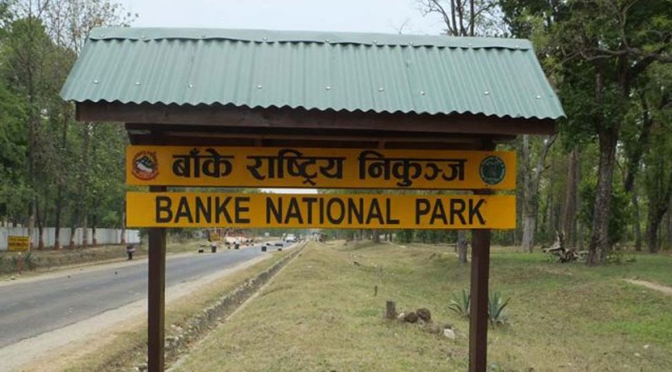 https://www.nepalminute.com/uploads/posts/Banke natl park1668672248.jpg